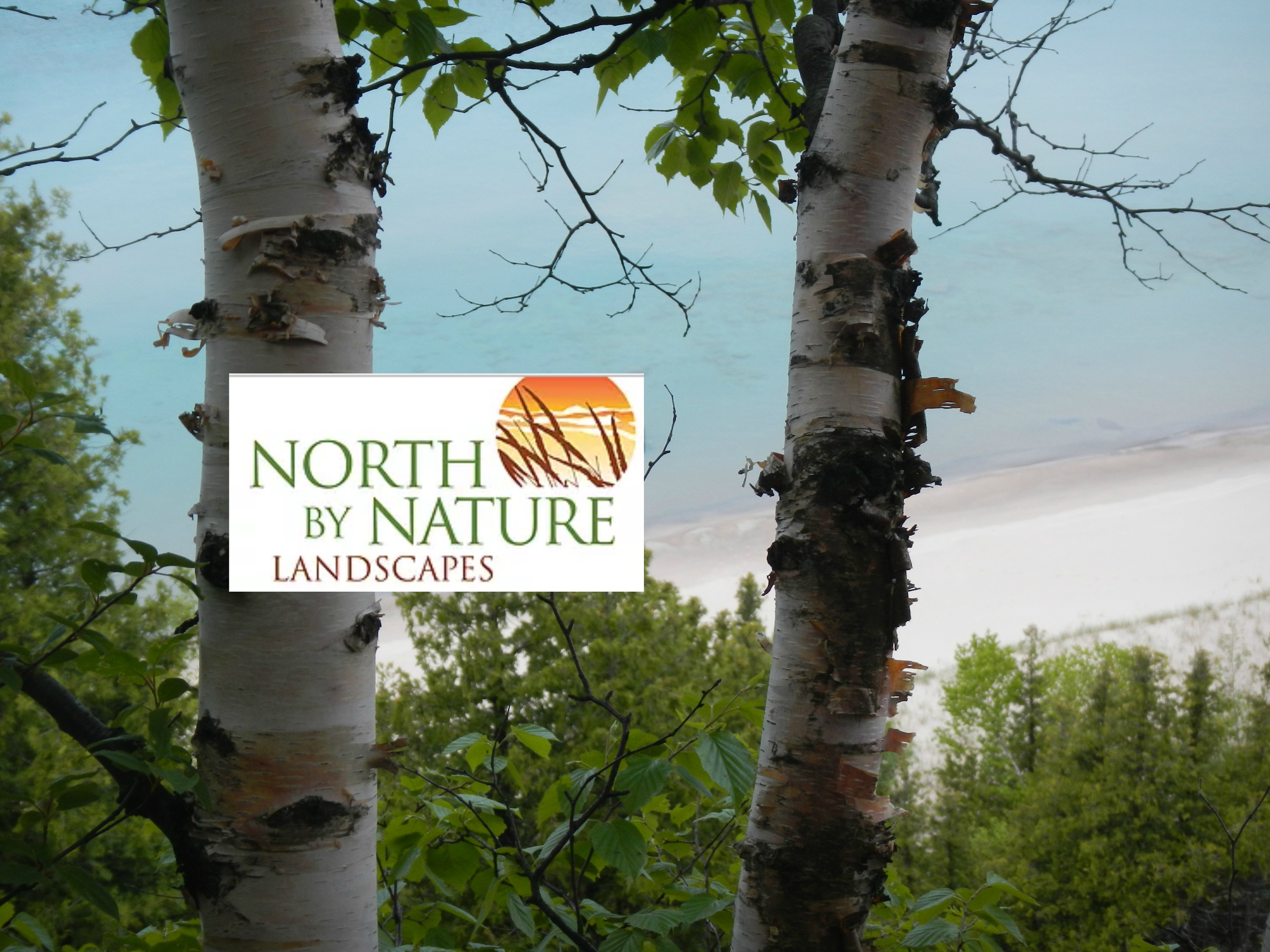 Avatar for North By Nature Landscapes